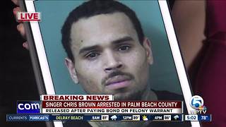 Singer Chris Brown arrested in Palm Beach County after concert