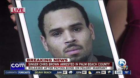 Singer Chris Brown arrested in Palm Beach County after concert