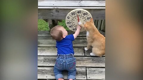 The kid and the cat are going clockwise