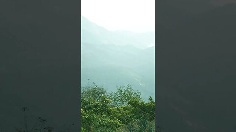 Nature view | Summer rain, Rain weather | Nature 4k videos | short video #shorts