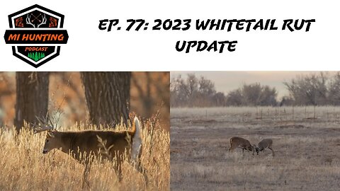 Ep. 77: 2023 Whitetail Rut Update