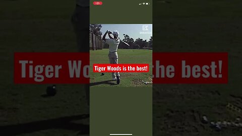 Young Tiger Woods Cub stripe show! #tigerwoods #charleywoods #golf #tomgillisgolf