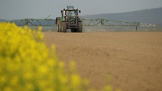 Court Slams EPA For Allowing Pesticide With Known Side Effects