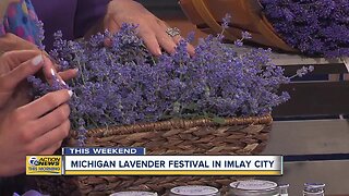 Michigan Lavender Festival returns to Imlay City