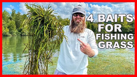 4 Baits to Conquer Grass Fishing (Fall Bass Fishing)