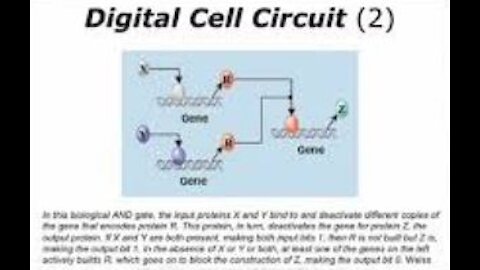 E.M. WAVES, CAPACITANCE AND SUBCELLULAR INTERACTIONS