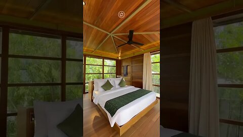 This Luxury TreeHouses is so Dreamy! 🌴 #shorts #architecture #treehouse #bali #interiordesign