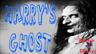 Harry's Ghost | Haunted Basement | Nightshade Diary Podcast