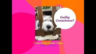 Conscience Guide Team