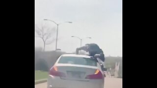 Milwaukee police search for man who did push-ups on moving vehicle