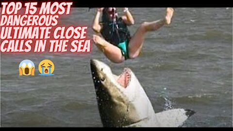 15 Most Dangerous Ultimate Close Calls In the Sea