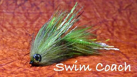 Swim Coach Articulated Streamer - Fly Tying Instructions by Charlie Craven