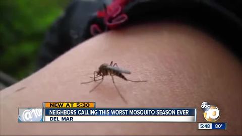 Neighbors calling this worst mosquito season ever