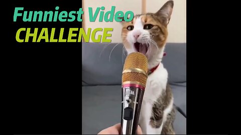 New Funny Animals 😂 Funniest Cats and Dogs Videos 😺🐶