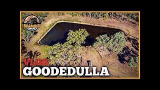 A 7 Day Escape. Camping, Exploring and Searching for Wildlife in Goodedulla 1/2