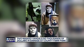 2 masked vandals cause thousands in damage at County Farm Park