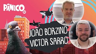 JOÃO BORZINO E VICTOR SARRO - PÂNICO - AO VIVO - 26/10/20