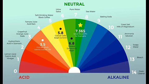 How To Test The Body's pH Levels