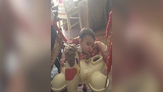 Baby Girl Lulls Herself To Sleep On A Baby Jumper