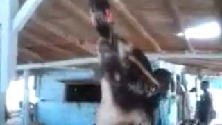 Shocking Video of Goat Drinking Coke