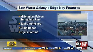 New Disney World area to immerse guests in a Star Wars story