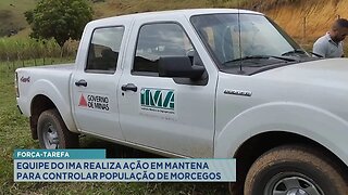 Força-Tarefa: Equipe do IMA Realiza Ação em Mantena para Controlar População de Morcegos.