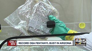 DEA makes biggest fentanyl bust in Arizona history