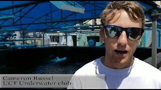 SOUTH AFRICA - Cape Town - Divers undertake a marathon scuba dive at the Two Oceans Aquarium. (VIDEO) (SwC)