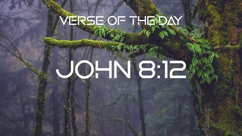 December 5, 2022 - John 8:12 // Verse of the Day