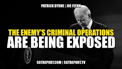 THE ENEMY'S CRIMINAL OPERATIONS ARE BEING EXPOSED - PATRICK BYRNE & JOE FLYNN