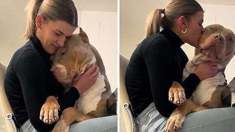Affectionate Bulldog Gives The Biggest Loving Hugs