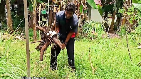 Crazy Man Find Food