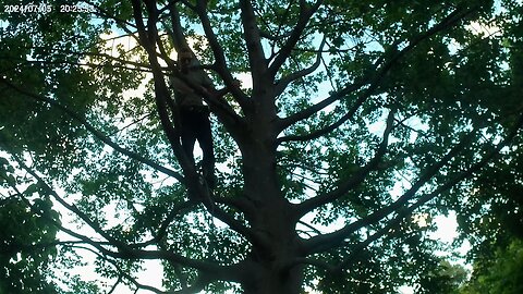 Treehugging, 05.07.2024 [A] Prater
