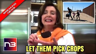 Nancy Pelosi Gets DESTROYED For Claiming Florida Needs Illegal Immigrants To Pick Crops!