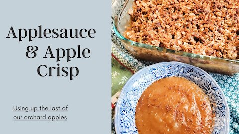 Using Up Apple Orchard Seconds - Applesauce & Apple Crisp