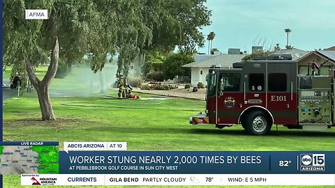 Man stung by nearly 2,000 bees hospitalized in Sun City West