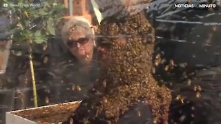 Homem bate recorde de maior tempo com abelhas no rosto