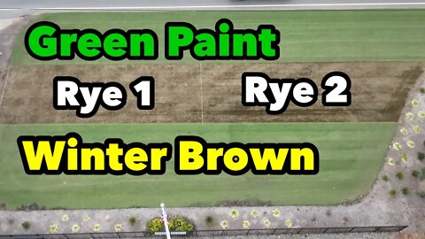 Ryegrass Over Seed vs Green Paint vs Dormant Bermudagrass