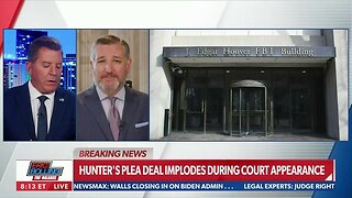 SENATOR TED CRUZ REACTS TO HUNTER BIDEN’S PLEA DEAL