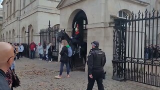 Stand back from the kings life Guard. kings guard uses her horse to make tourist move #london