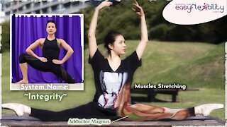 Improve your side splits with INTEGRITY exercise