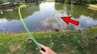 There are GIANTS in this Florida Lake! | Pond Hopping Orlando Day 1