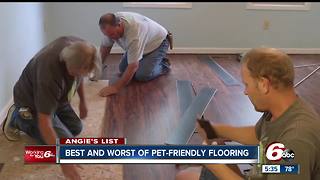 Best and worst pet-friendly flooring