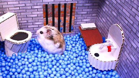 TITULO…🐹Hamster escapes the awesome maze for Pets in real life 🐹 in Hamster stories Part 2