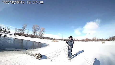 Deer stuck in frozen lake rescued by police officer with lasso