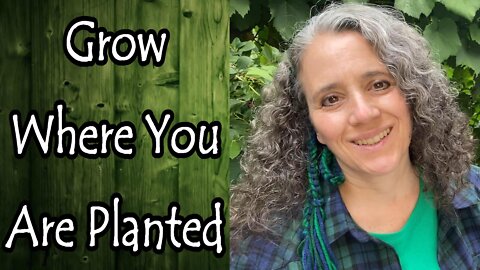 Grow Where You Are Planted