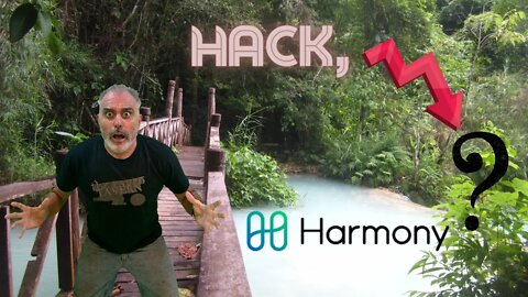 Harmony One HACKED $100 Million Gone buying opportunity ??