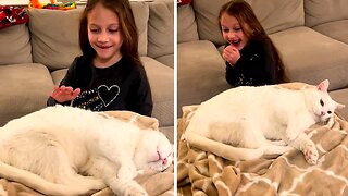 Funny Video Of A Little Girl Being Scared To Pet A "Mean" Kitten