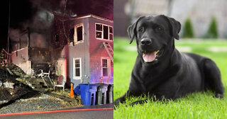 Family Escapes Burning Home Thanks to Dog Who Alerted Them