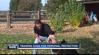 Personal Protection Dog